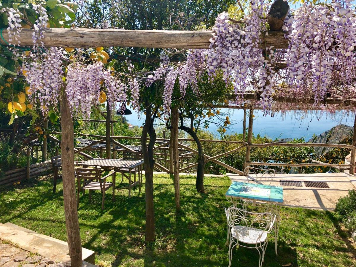 Bed and Breakfast Casa Flora Vietri Zewnętrze zdjęcie